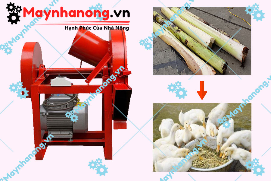 Máy băm chuối hỗn hợp Takyo chính hãng