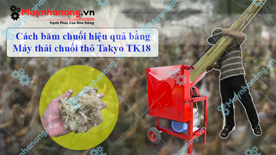 Cách điều chỉnh độ dày mỏng của cây chuối trên máy thái chuối Takyo TK18